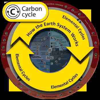 How the Carbon Cycle Helps Sustain Life on Earth